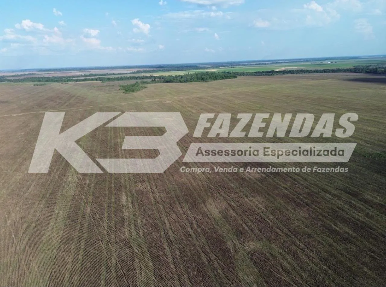 1.383 há com 950 há de lavoura em Tailândia Pa