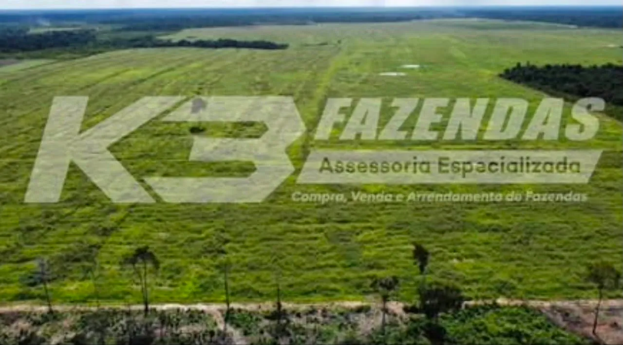 426 HÁ | DUPLA APTIDÃO | TAILÂNDIA PA