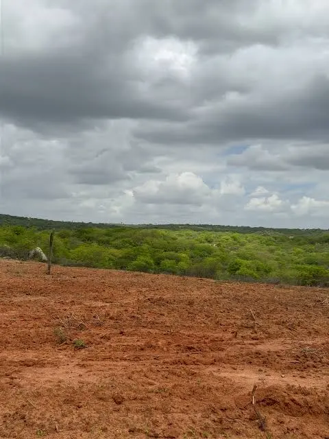 Fazenda Chapadão Testes