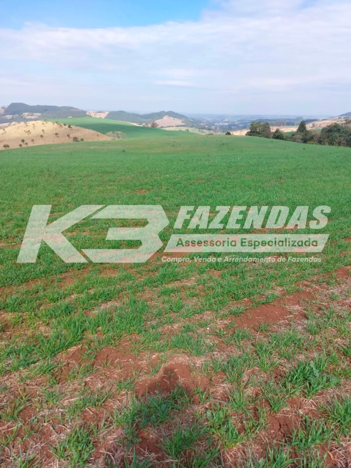 145 ALQUEIRES COM 52 ALQUEIRES DE LAVOURA | GOIXIM PR
