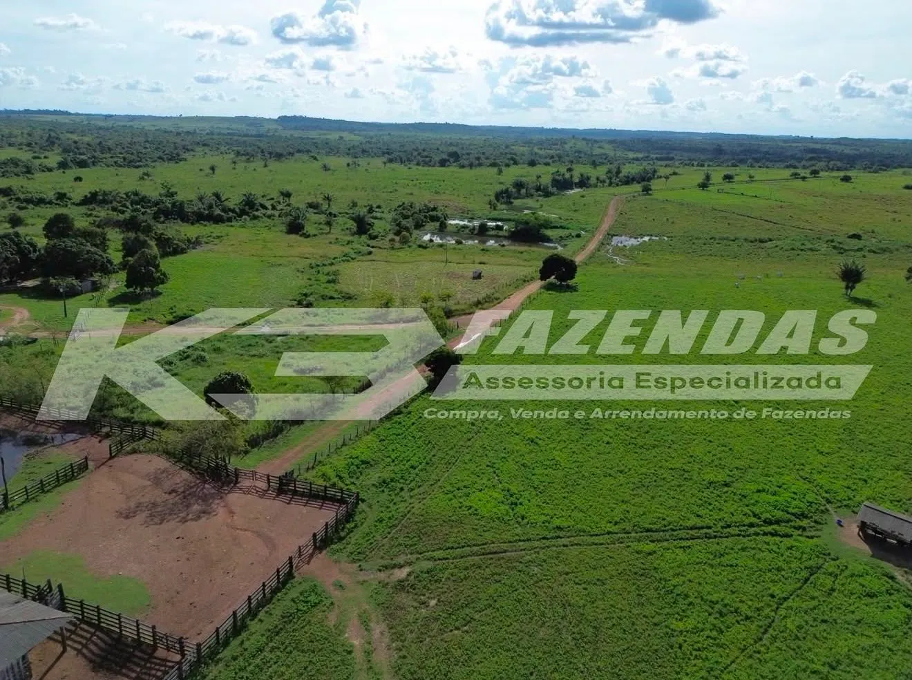 2651 HÁ | FAZENDA DUPLA APTIDÃO I FORMADA NA PECUÁRIA | REGIÃO DE TAILÂNDIA PA