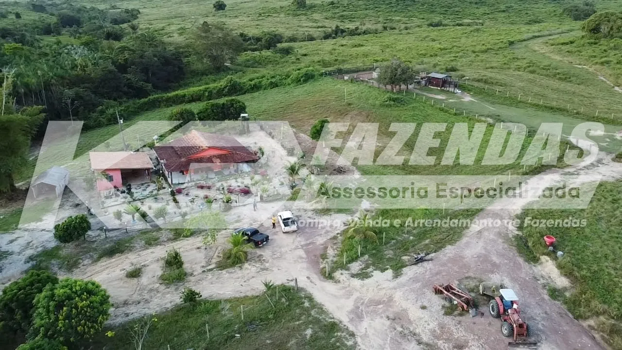 FAZENDA FORMADA NA PECUÁRIA | GOIANÉSIA DO PARÁ – PA