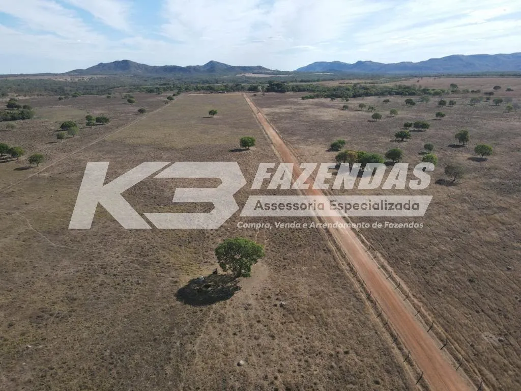 FAZENDA À VENDA | PORTO NACIONAL – TOCANTINS