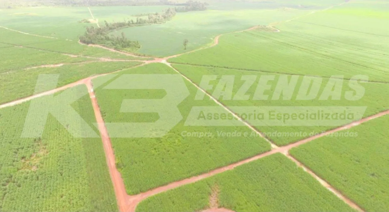 4327 HÁ, COM 2850 HÁ CONSOLIDADO | ULIANÓPOLIS PA