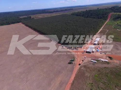 6900 HÁ | 3000 HÁ EM LAVOURA | ULIANÓPOLIS PA