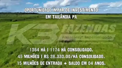 1364 HÁ COM 1174 HÁ CONSOLIDADO E AGRICULTÁVEL | MENOS DE 30 KM DE TAILÂNDIA PA