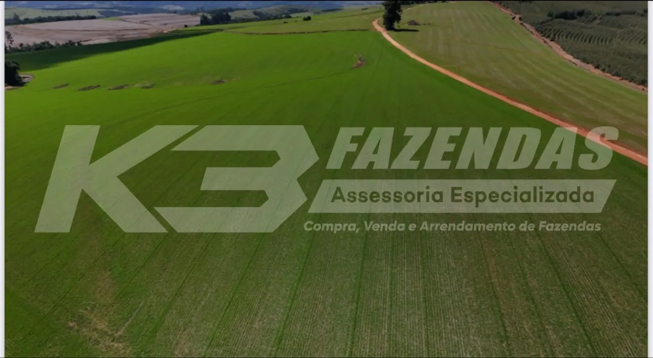 FAZENDA EM LAVOURA – REGIÃO NOBRE DOS CAMPOS GERAIS DO PARANÁ.