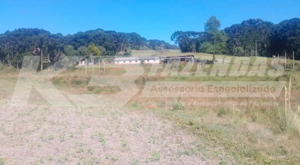 Fazenda formada em lavoura, leiteira e com potencial turístico – Guarapuava PR