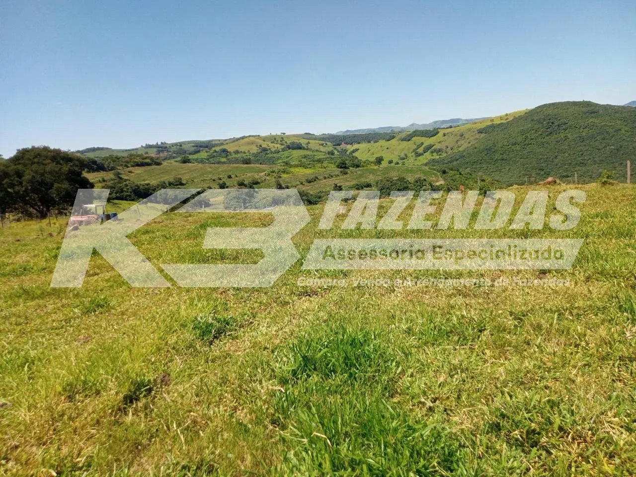 110 ALQUEIRES I PECUÁRIA I REGIÃO NOBRE DE CAMPO MOURÃO PR