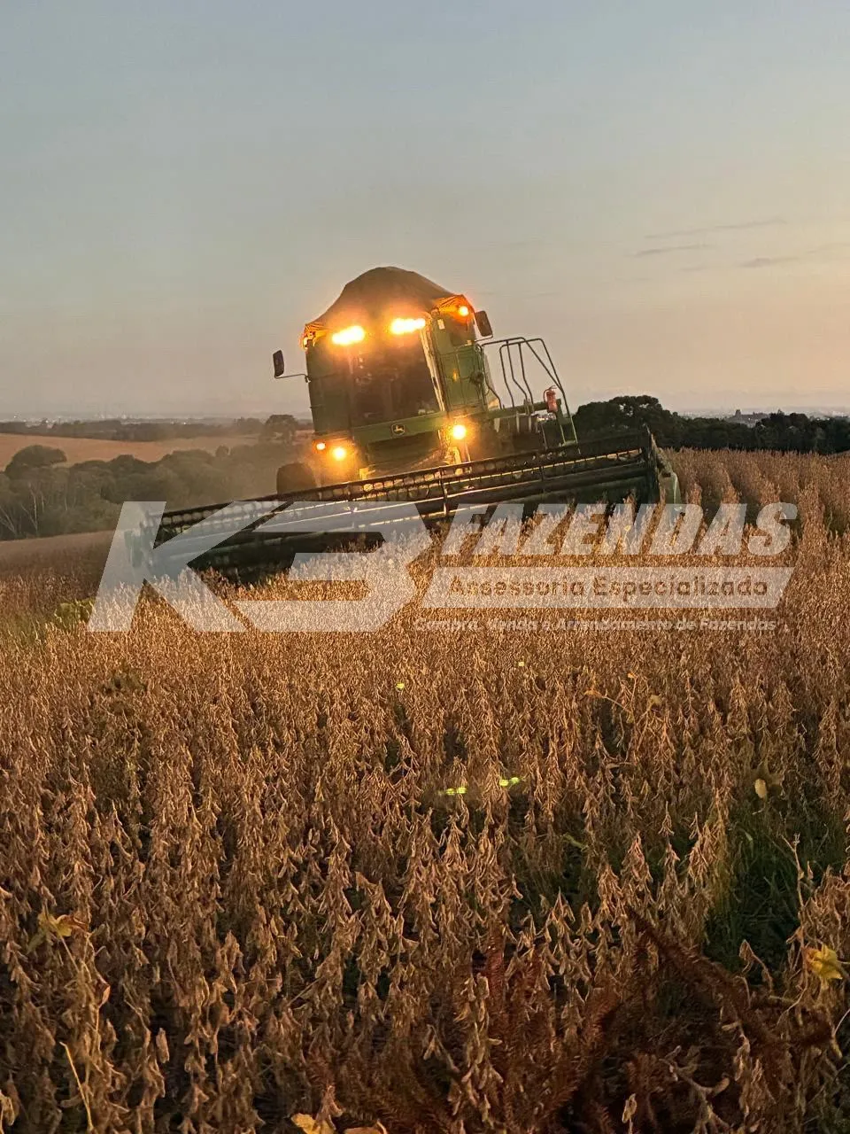 FAZENDA FORMADA EM LAVOURA | GUARAPUAVA – PR 500 HÁ I PERMUTA POR FAZENDA EM SINOP MT