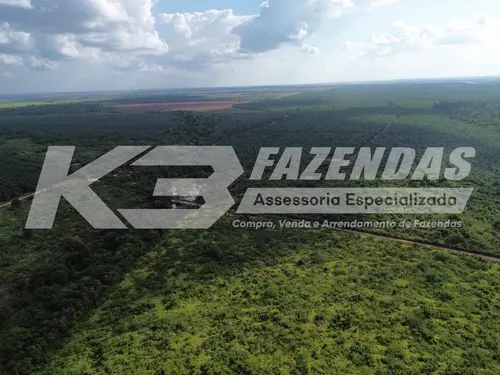 851,8 HÁ I 🌿 FAZENDA FORMADA NO DENDÊ | ALTA RENDA POR HÁ | TAILÂNDIA PA