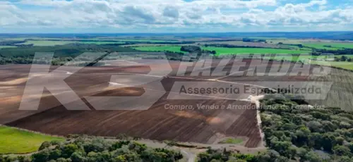 613 alqueires a 100 km de Curitiba Pr.